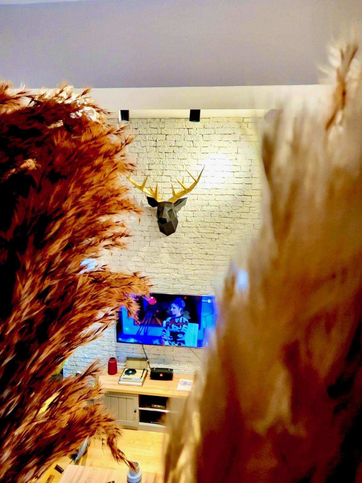 Lifestyle Gallery Apartment Skopje Ngoại thất bức ảnh